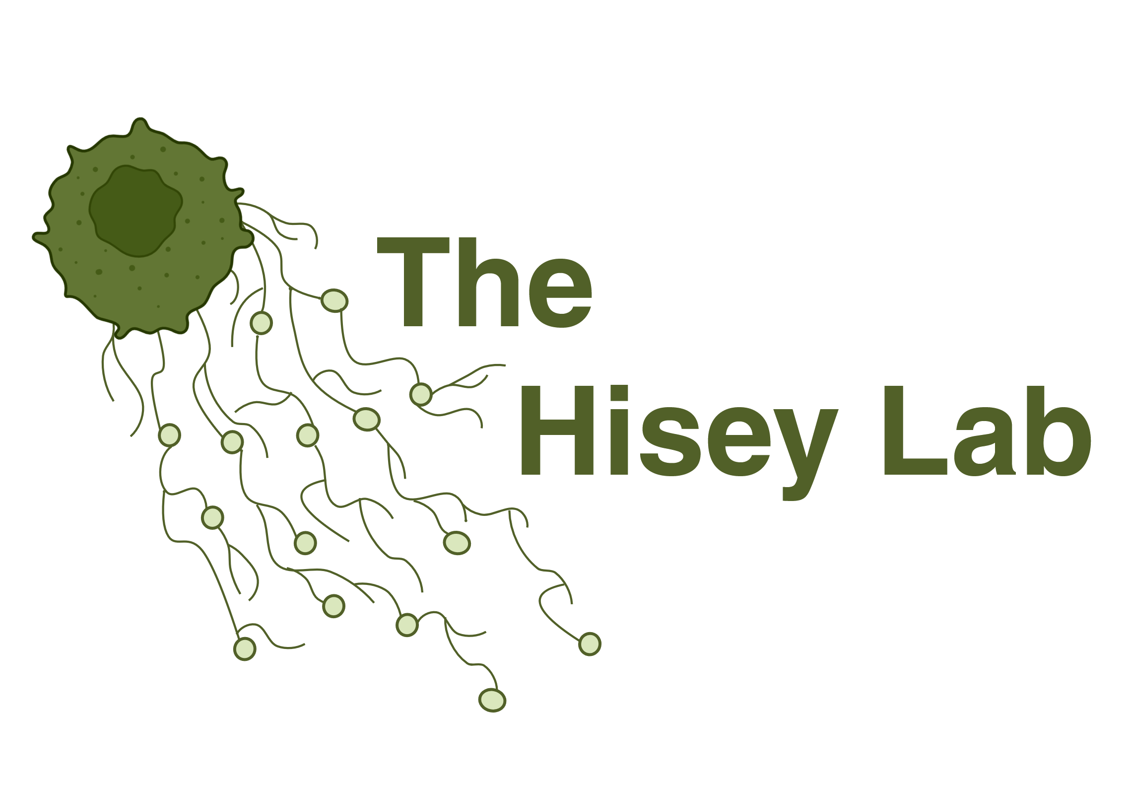 Hisey Lab